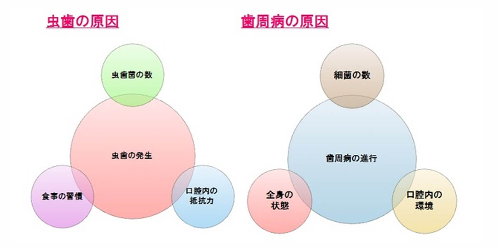 予防強化検査は何のためにするの？